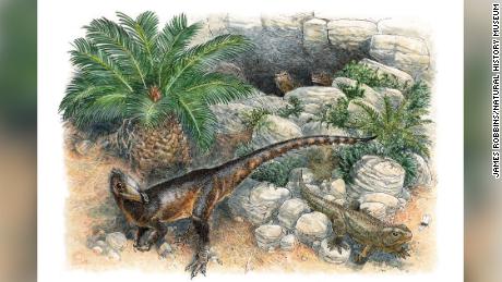 Der Dinky Dinosaurier war der jüngste seiner Art, als er vor 200 Millionen Jahren durch Wales streifte