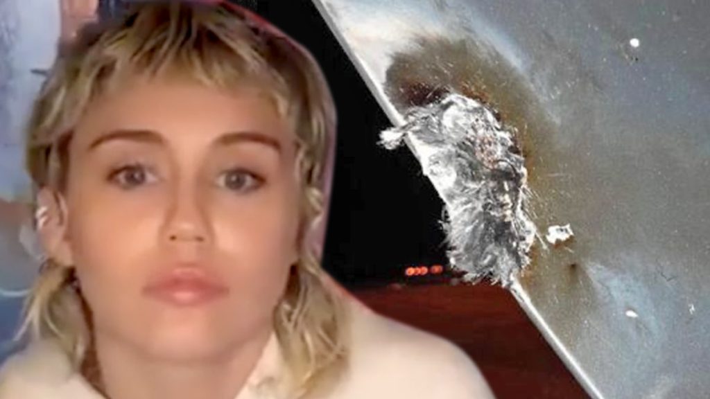 Das Flugzeug von Miley Cyrus wurde von einem Blitz getroffen und beschädigt, was zu einer Notlandung führte