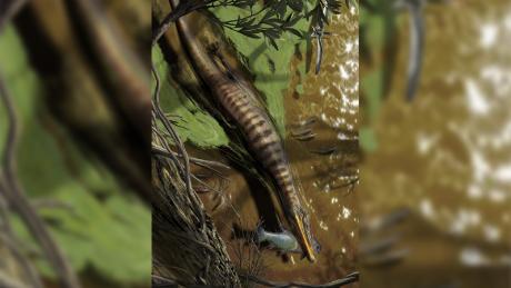 Illustration von Baryonyx walkeri, einem Spinosaurier aus Großbritannien, der jagt und füttert.