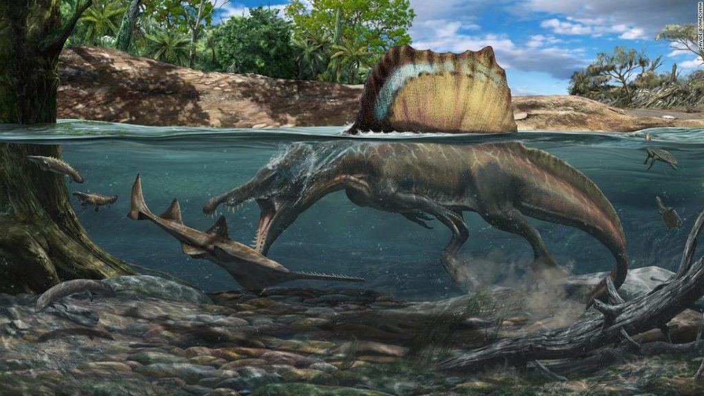 Ein Dinosaurier, der größer als ein T. rex ist, schwamm und jagte unter Wasser