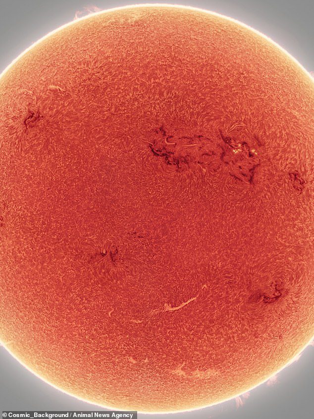 Das Bild fängt dunkle Flecken auf der Sonnenoberfläche ein, die als aktive Regionen bekannt sind, sowie helle Sonnenflecken, die aus dem Feuerball ausbrechen.