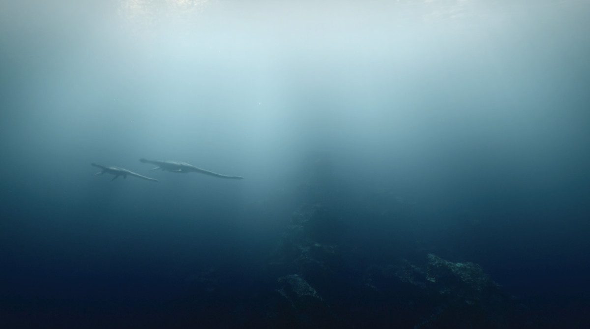 Zwei Touareg schwimmen zusammen in einer nebligen Meereslandschaft