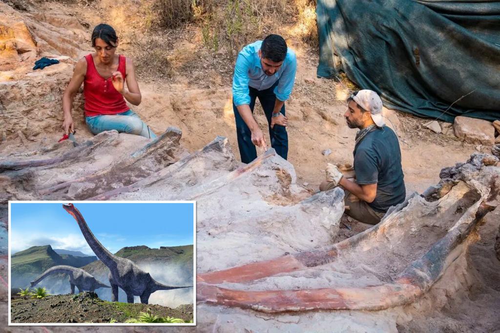 Ein 82 Fuß großes Dinosaurierskelett wurde im Hinterhof eines Mannes in Portugal gefunden