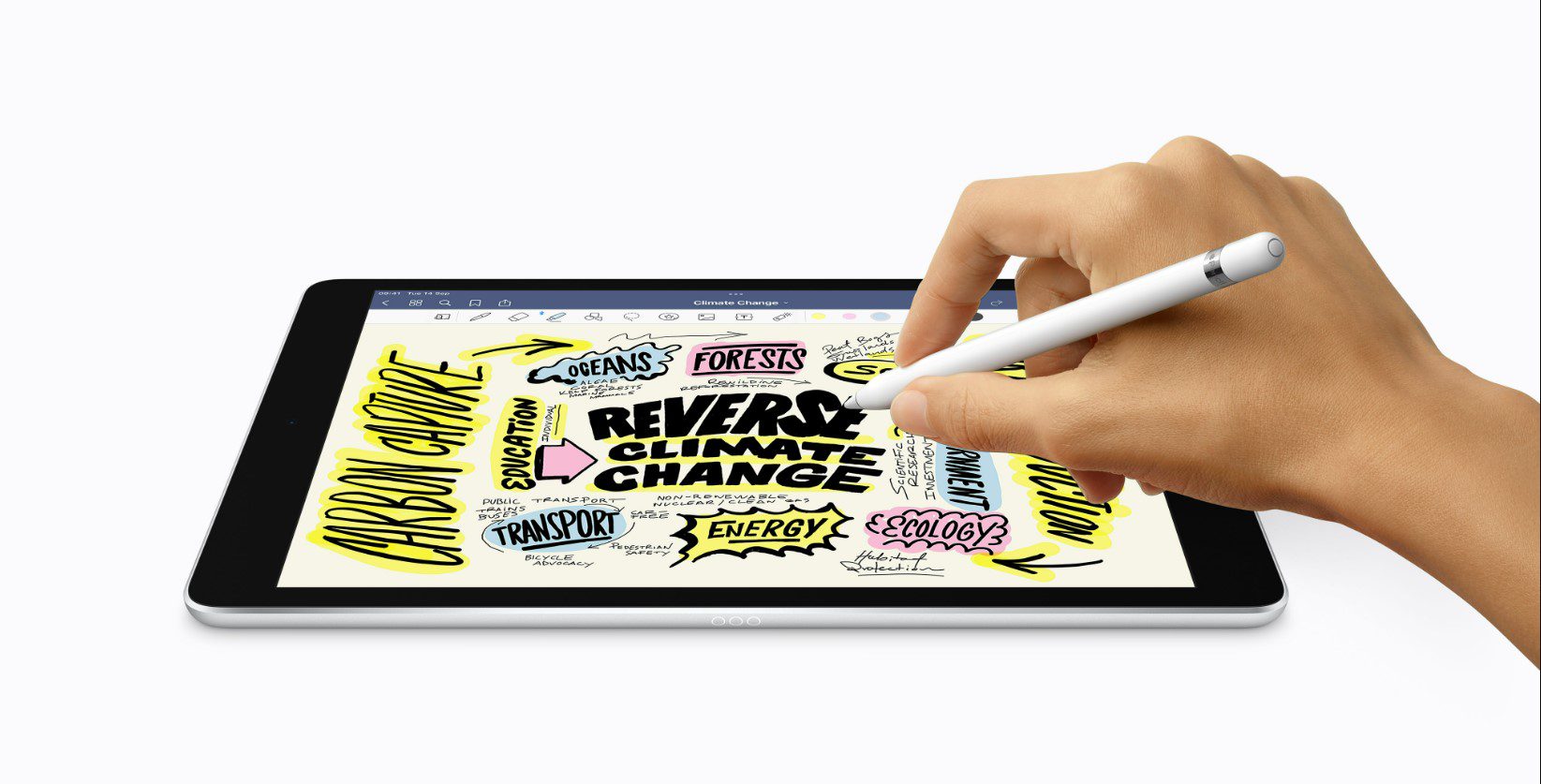 Freihandzeichnen auf dem iPad 10.2 mit dem Apple Pencil