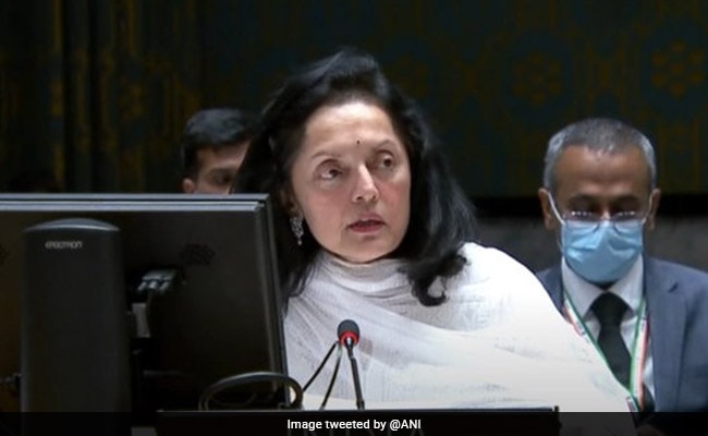 Ruchira Kamboj: „Wir müssen uns nicht sagen, was wir gegen die Demokratie tun sollen“: Indien bei den Vereinten Nationen